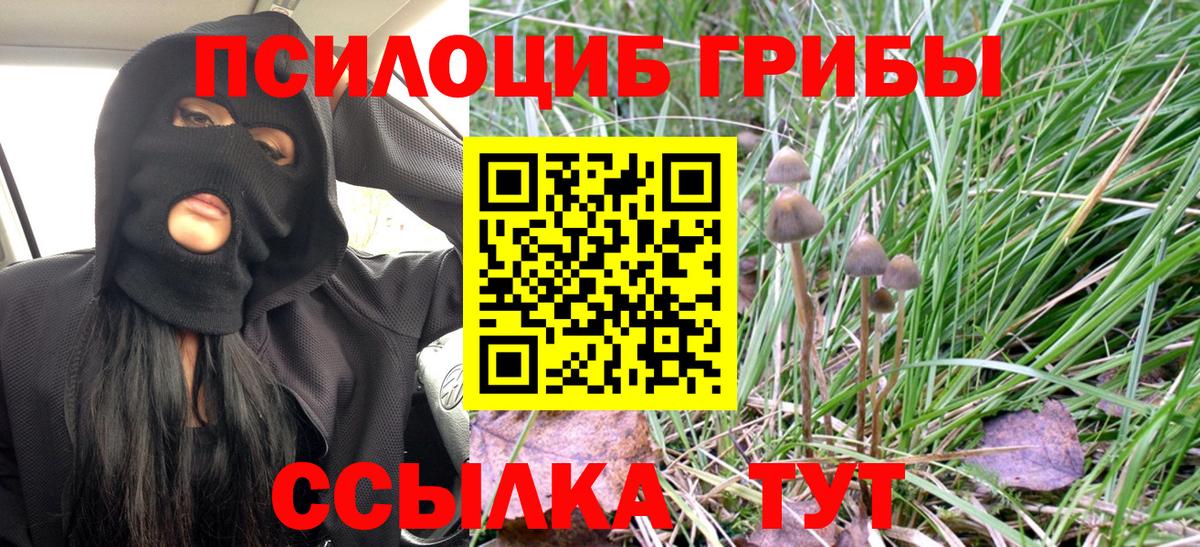 Галлюциногенные грибы Magic Shrooms  Вход с VPN  Кызыл 